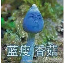藍(lán)瘦香菇什么梗 柯尼卡美能達(dá)復(fù)印機(jī)新代碼？